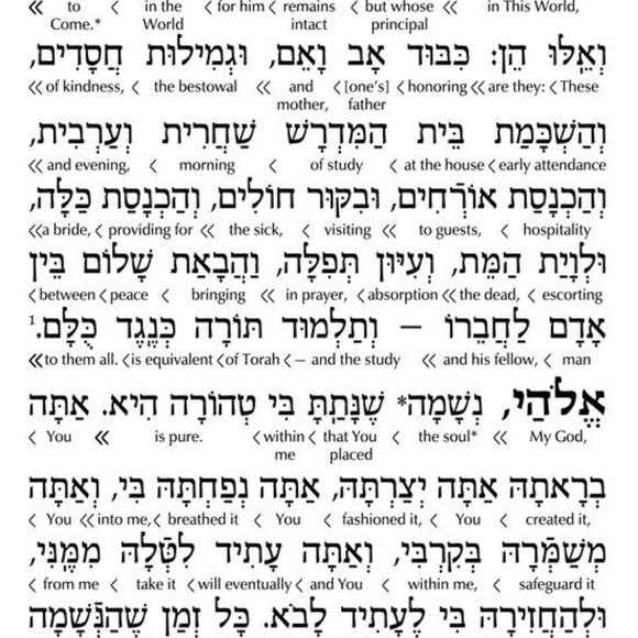 Artscroll Hebrew English Interlinear WEEKDAY Siddur Full Size Ashkenaz - Picture 2 of 11